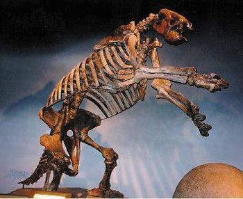 Eremotherium Laurillardi Skeleton