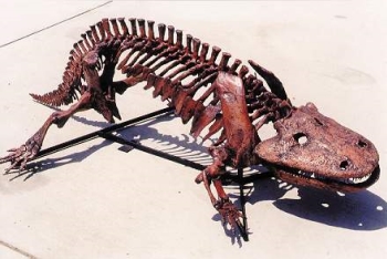 Eryops megacephalus Fossil Skeleton