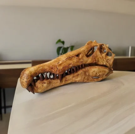 Spinosaurus skull replica