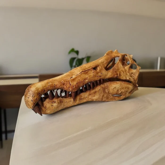 Spinosaurus skull replica