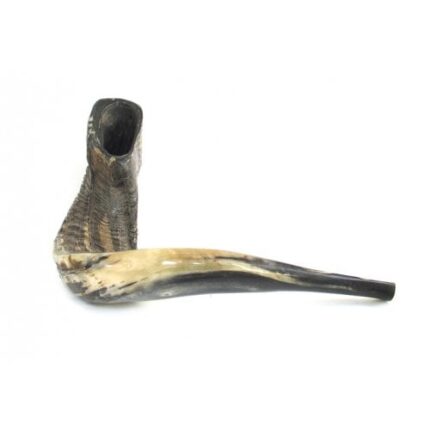 Extra Large Rams Horn Shofar with Dark Shades - Natural Finish