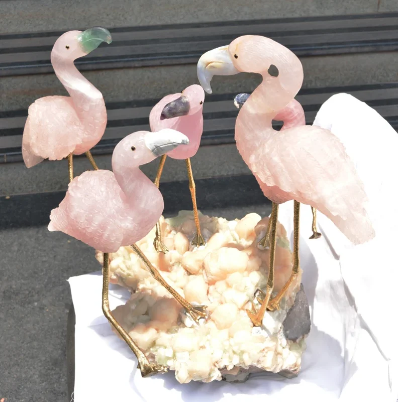 Flamingo Birds for Sale