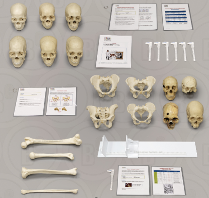 Forensic Anthropology K-12 Set