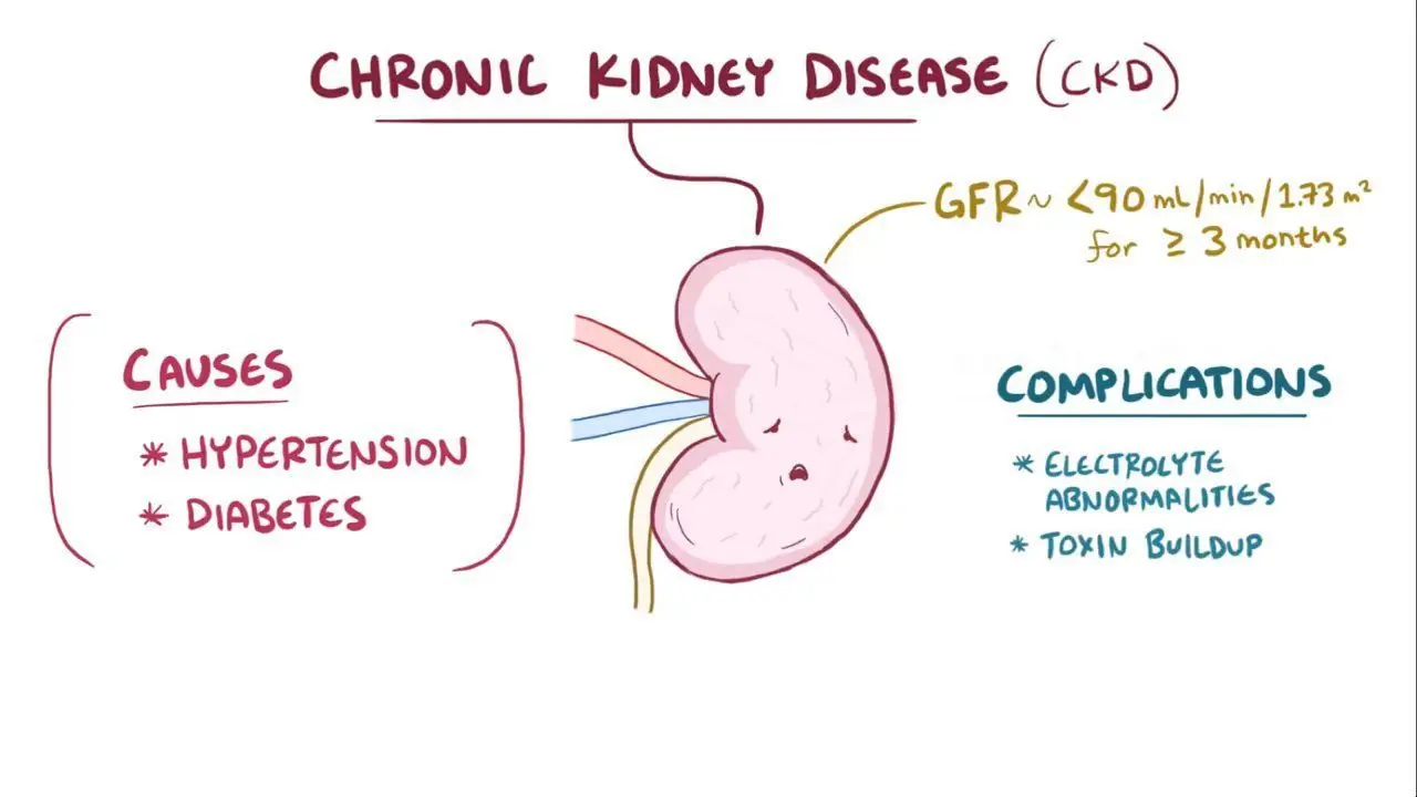 What is Kidney Disease?