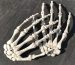 The Best Ways to Care for Your Real Skeleton Hand Bones